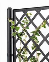 Rankgitter, Spalier mit Pflanzkasten in Rattan-Design, Farbe: Anthrazit