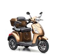 ECONELO J1000 - 25 KM/H Blei Braun