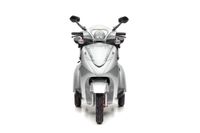 ECONELO S1000 - 25 KM/H Blei Silber