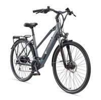 E-Bike Damen 28 Zoll Trekking Pedelec 24 Gang Expedition XC940, granit