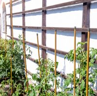 Onl.-Set Stahlpf.St.Bambus 120cm V3
