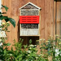 Insektenhotel 5 Sterne