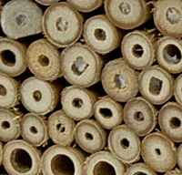 Insektenhotel zur Post
