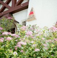 Insektenhotel Trigon