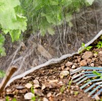 Insektenschutz-Netz 5x2m weiss