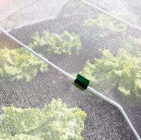 Insektenschutz-Netz 5x2m weiss