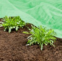 G.-Vlies SUPERGROW 10x1,5m 20g/m²