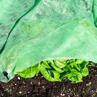 G.-Vlies SUPERGROW 10x1,5m 20g/m²