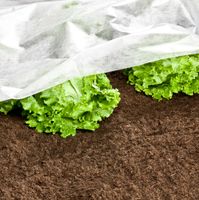 Garten-Vlies 10x1,5m 17g/m²