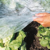 Garten-Vlies 10x1,5m 17g/m²