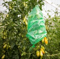 Tom.-Fo.-Schl. STRONG 10x0,75m 37µm