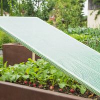 Gitter-Folie STRONG 3x2m 250g/m²