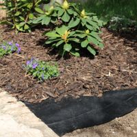 Unkraut-Vlies 10x0,9m 50g/m2