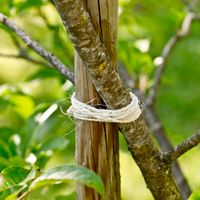 Sisal Garten-Kordel weiß 150mx2,5mm