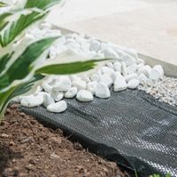 Unterboden-Gewebe 10x2m, 100g/m²
