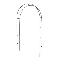 Rosenbogen Basic, grün