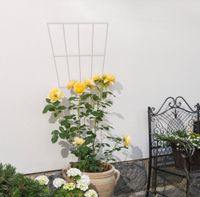Gitterspalier 150 cm V-förmig, weiß