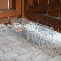 Marderfalle 60x18x20cm verzinkt