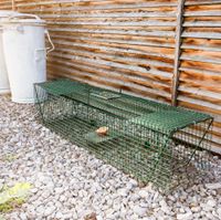 Kleintier-/Waschbär-Falle