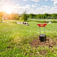 Wühlmausfalle PREDATOR