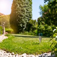 Wühlmaus-Vertreiber Alu+ 5 Star