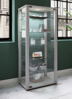 Standvitrine "Kavisa L" Silber