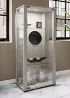 Standvitrine "Kavisa M" Silber