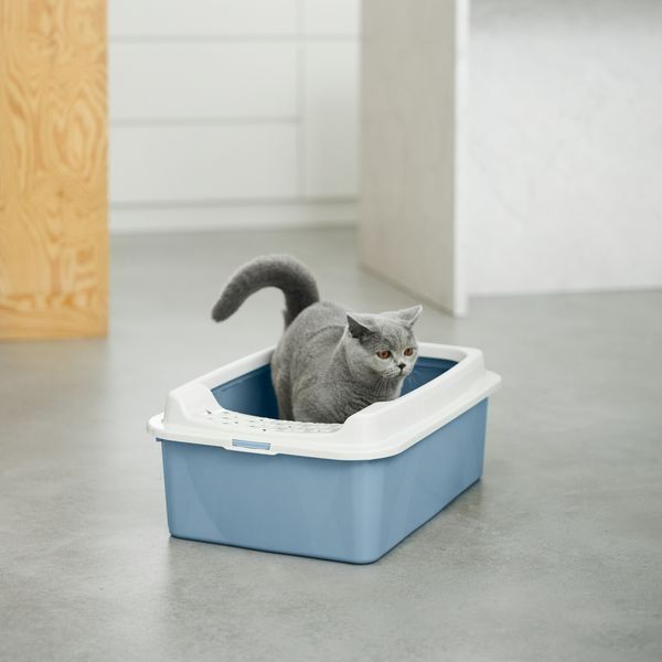 Rotho MyPet Eco Bonnie Katzenklo mit Top-Eingang, blau/weiss (recycelt)