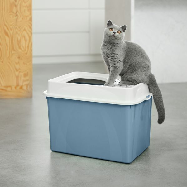Rotho MyPet Eco Berty Katzenklo mit Top-Eingang, blau/weiss (recycelt)