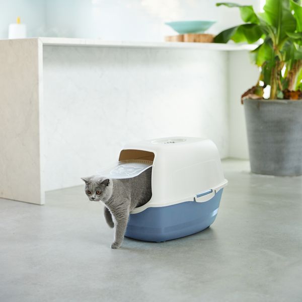 Rotho MyPet Eco Bailey Katzentoilette mit Deckel und Aktivkohlefilter, blau/weiss (recycelt)