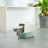 Rotho MyPet Eco Bailey Katzentoilette mit Deckel und Aktivkohlefilter, grün/weiss (recycelt)