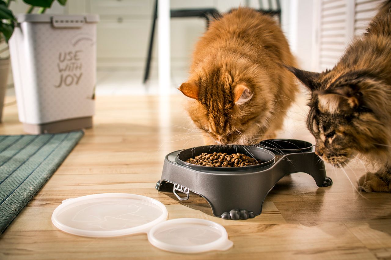 Miniaturansicht des Produkts