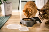 Rotho MyPet Sally Doppel Futternapf mit Deckel, Kunststoff (PP) BPA-frei, anthrazit, 1l + 0.28l (32.0 x 23.7 x 7.0 cm)