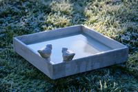 Vogelbad und Insektentränke