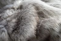 Fellimitat Wohndecke Wolf