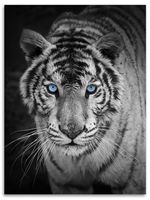 Flanell Wohndecke Tiger