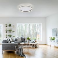 LeuchtenDirekt LED Deckenleuchte RITUS, rund, 3-Stufen Dimmer, 3000Kelvin,  Innenleuchte, IP20