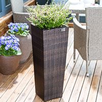 Blumenkasten Polyrattan (80 x 30 x 30cm) (61 x 24,5 x 24,5cm) (41 x 21 x 21cm) 3er Set braun