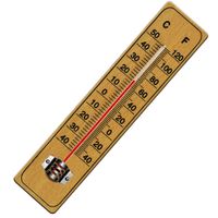 Thermometer aus Holz bis 50C 22cm