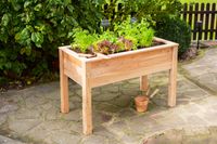 Westmann Holz Hochbeet Stelzenhochbeet natur 120x65x75 cm