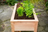 Westmann Holz Hochbeet Stelzenhochbeet natur 120x65x75 cm