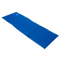 Detex Strandmatte mit Lehne & Kopfkissen 158 cm x 56cm blau