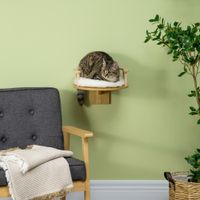 Katzen Kletterwand, Katzenliege für die Wand, Katzen Hängematte, Eiche