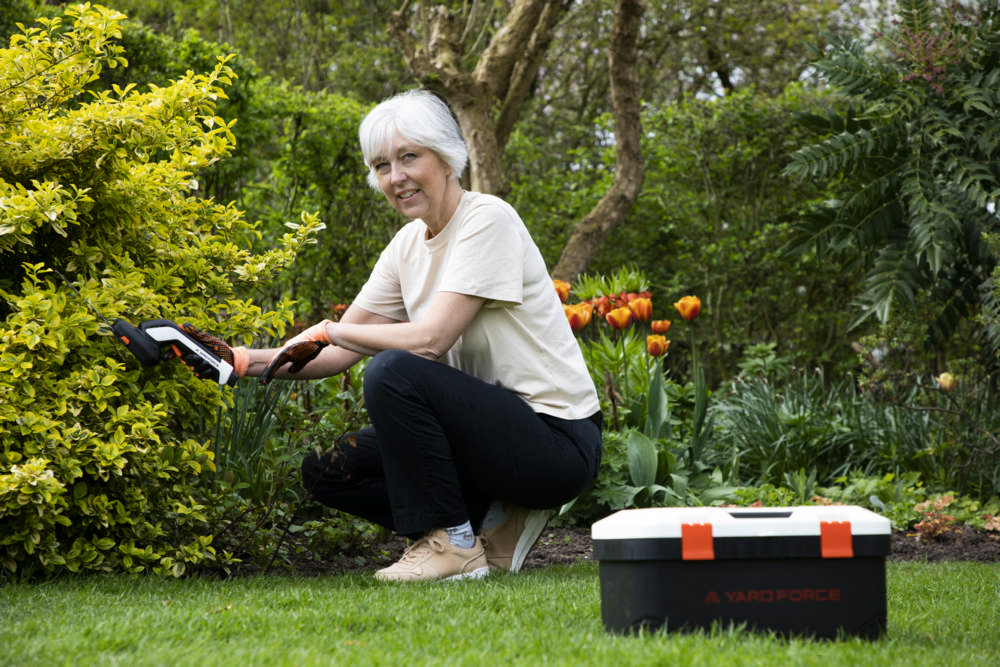 Miniaturansicht des Produkts