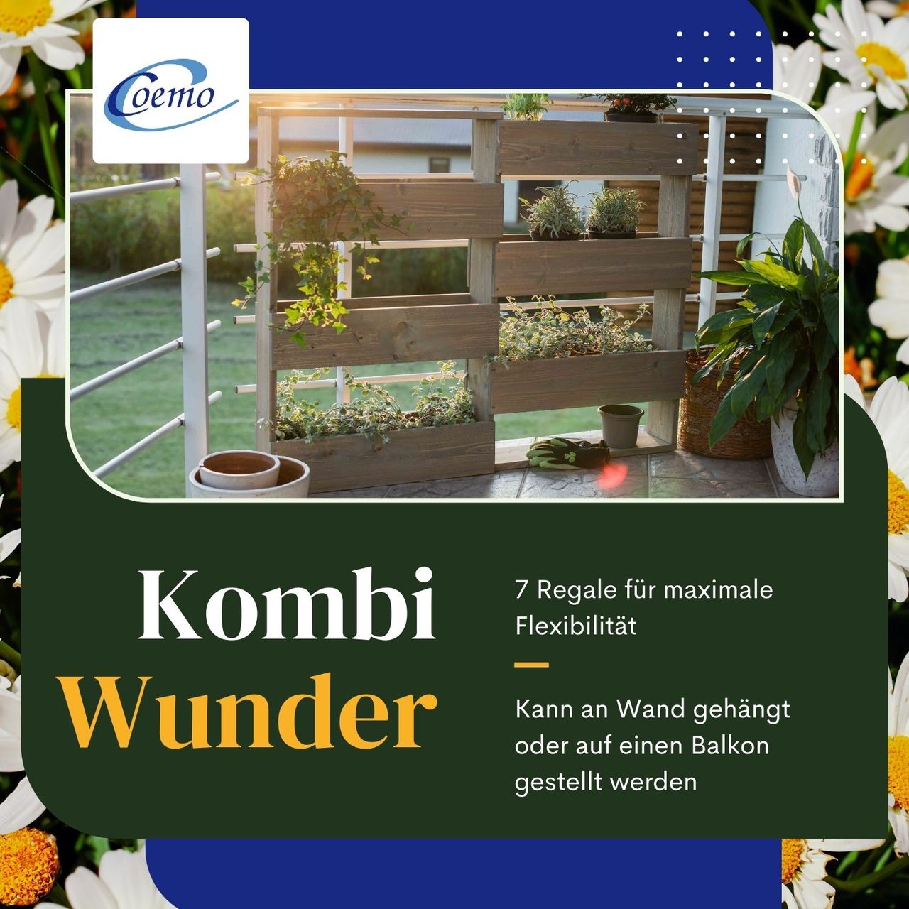 Miniaturansicht des Produkts