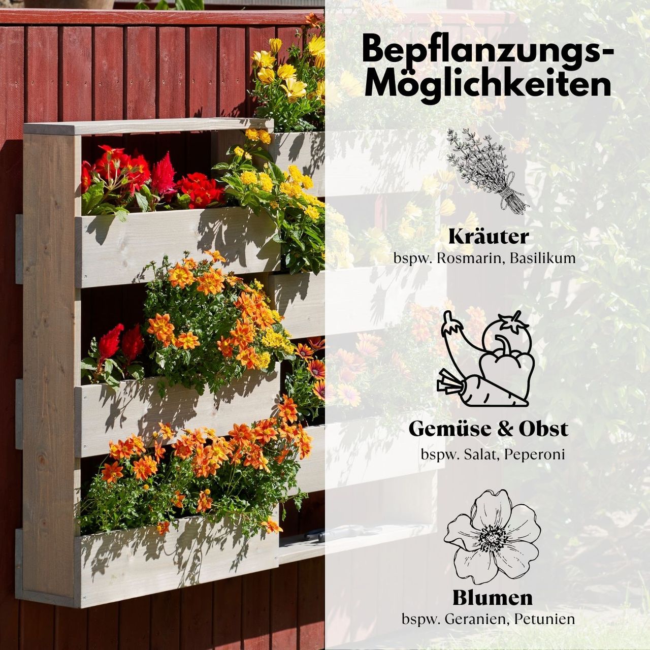 Miniaturansicht des Produkts