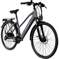 Z810 E Bike Trekkingrad Damen ab 155 cm mit Nabenmotor Pedelec Trekking Fahrrad