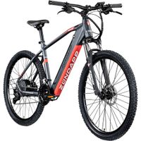 Z504 E Bike 26 Zoll Elektrofahrrad Damenfahrrad 145 - 180 cm retro Hollandrad E Fahrrad mit 7 Gängen und Beleuchtung Pedelec