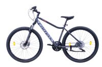 Sprick Mountainbike 29" Herren 21Gang Shimano TY200