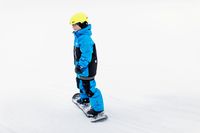 Snow Board Wild